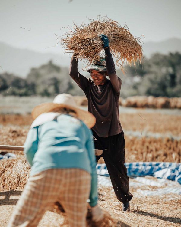 chiang-dao-chiang-mai-003